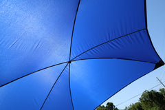 A close-up beneath the large blue All Purpose Portable Vehicle Awning by PahaQue for Cars, SUVs, Trucks, and Side by Sides reveals sunlight filtering through the fabric, with trees and a power line in the background against a clear sky. Brand: PahaQue Wilderness.