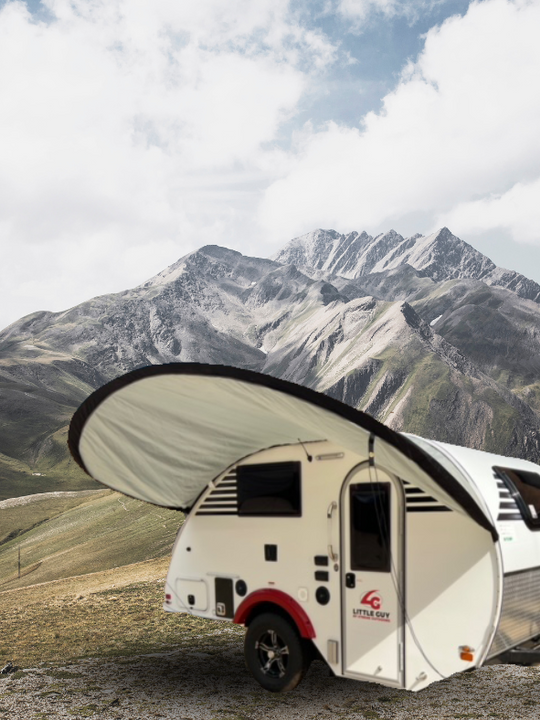 Little Guy Micro Max Visor